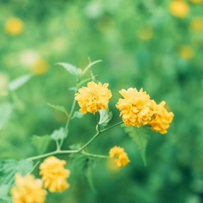 英雄使命果盘版下载